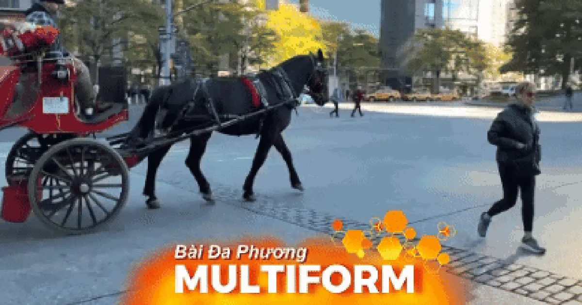 Mỹ: Thành phố New York cấm vĩnh viễn xe ngựa kéo du lịch