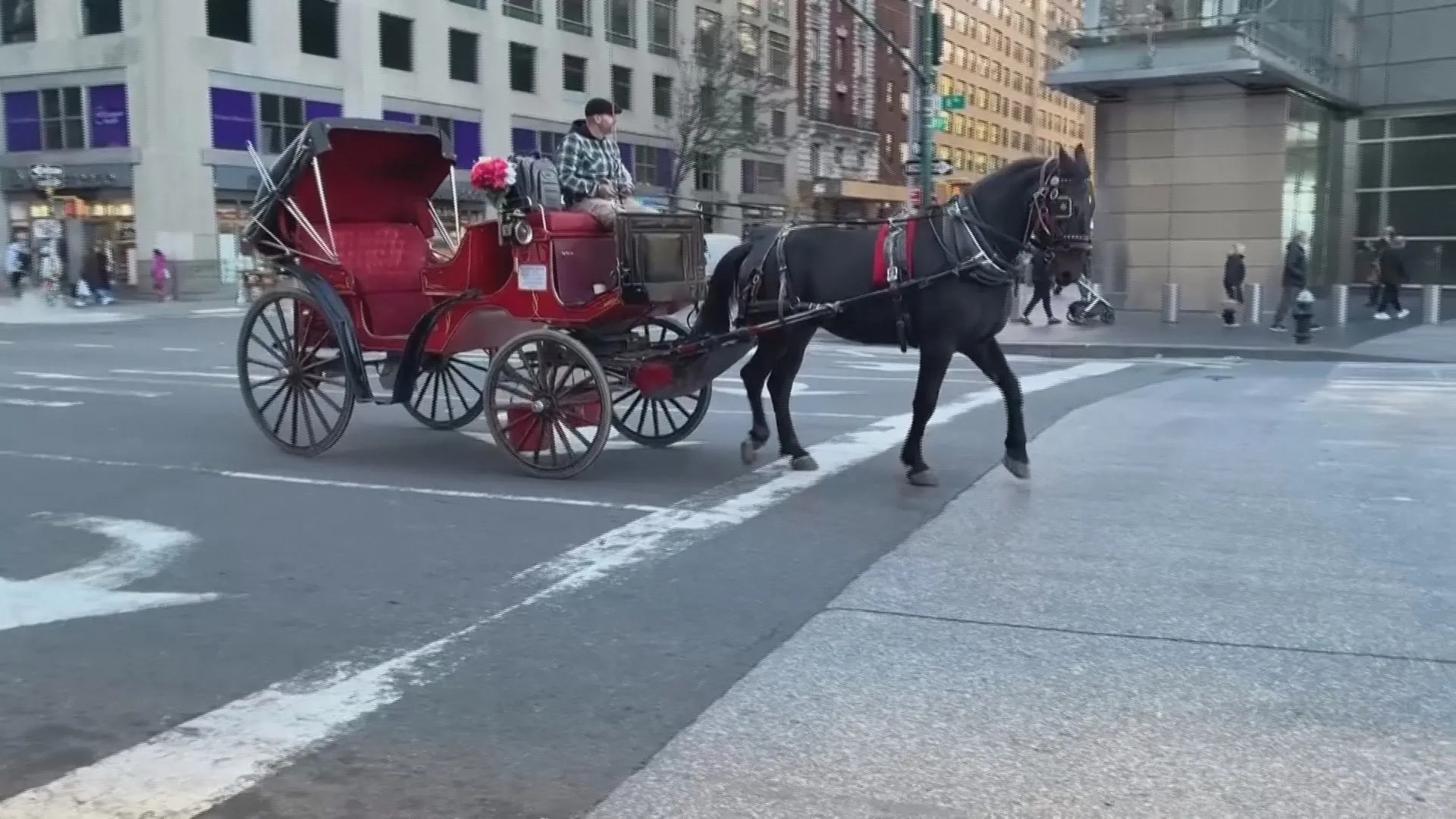 Mỹ: Thành phố New York cấm vĩnh viễn xe ngựa kéo du lịch - Ảnh 1.