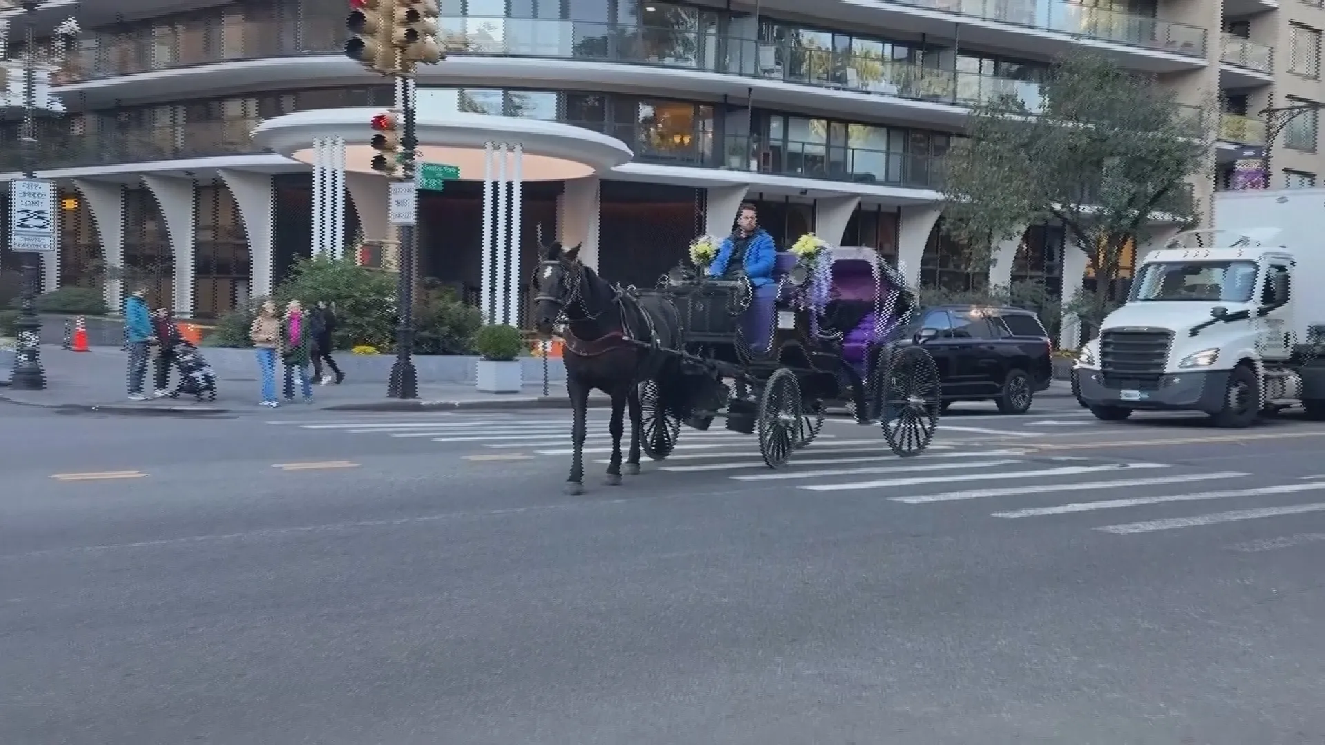 Mỹ: Thành phố New York cấm vĩnh viễn xe ngựa kéo du lịch - Ảnh 2.