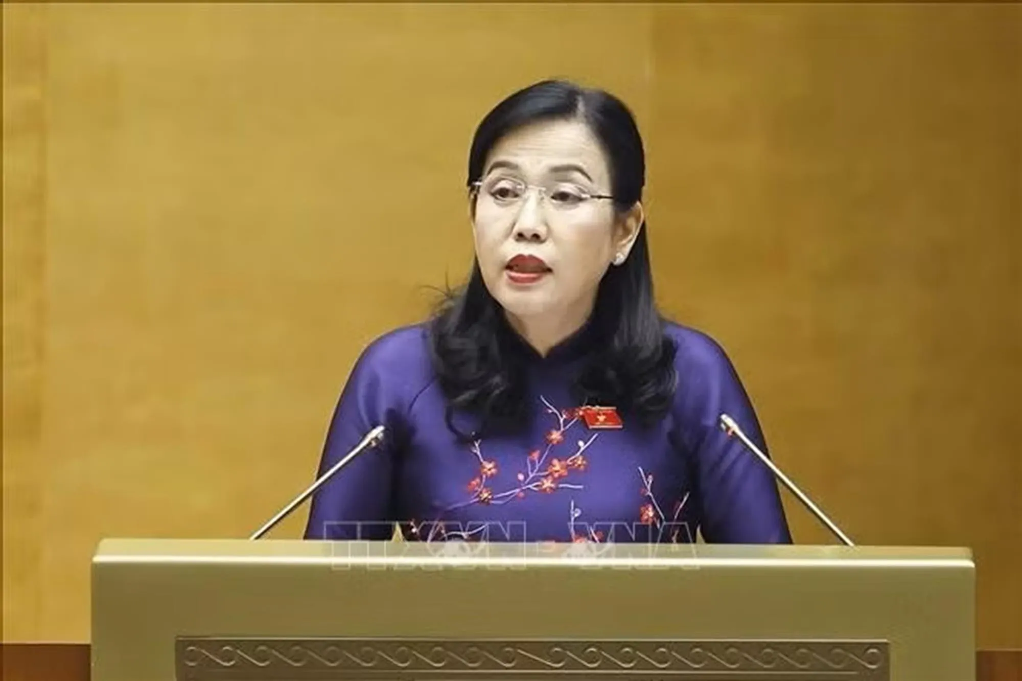 Chủ nhiệm Ủy ban Khoa học, Công nghệ và Môi trường của Quốc hội Nguyễn Thanh Hải trình bày Báo cáo thẩm tra về dự án Luật An toàn thực phẩm (sửa đổi). Ảnh: Doãn Tấn/TTXVN