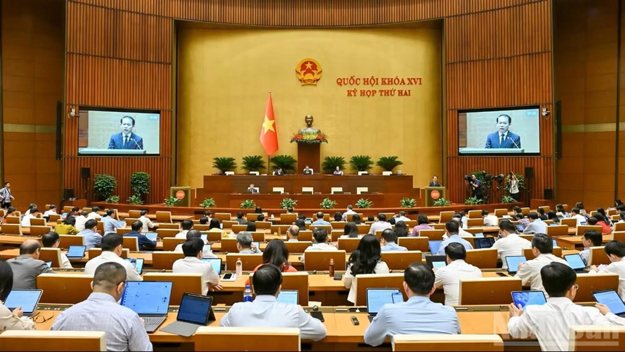 Ảnh: Thủy Nguyên - Nhân Dân
