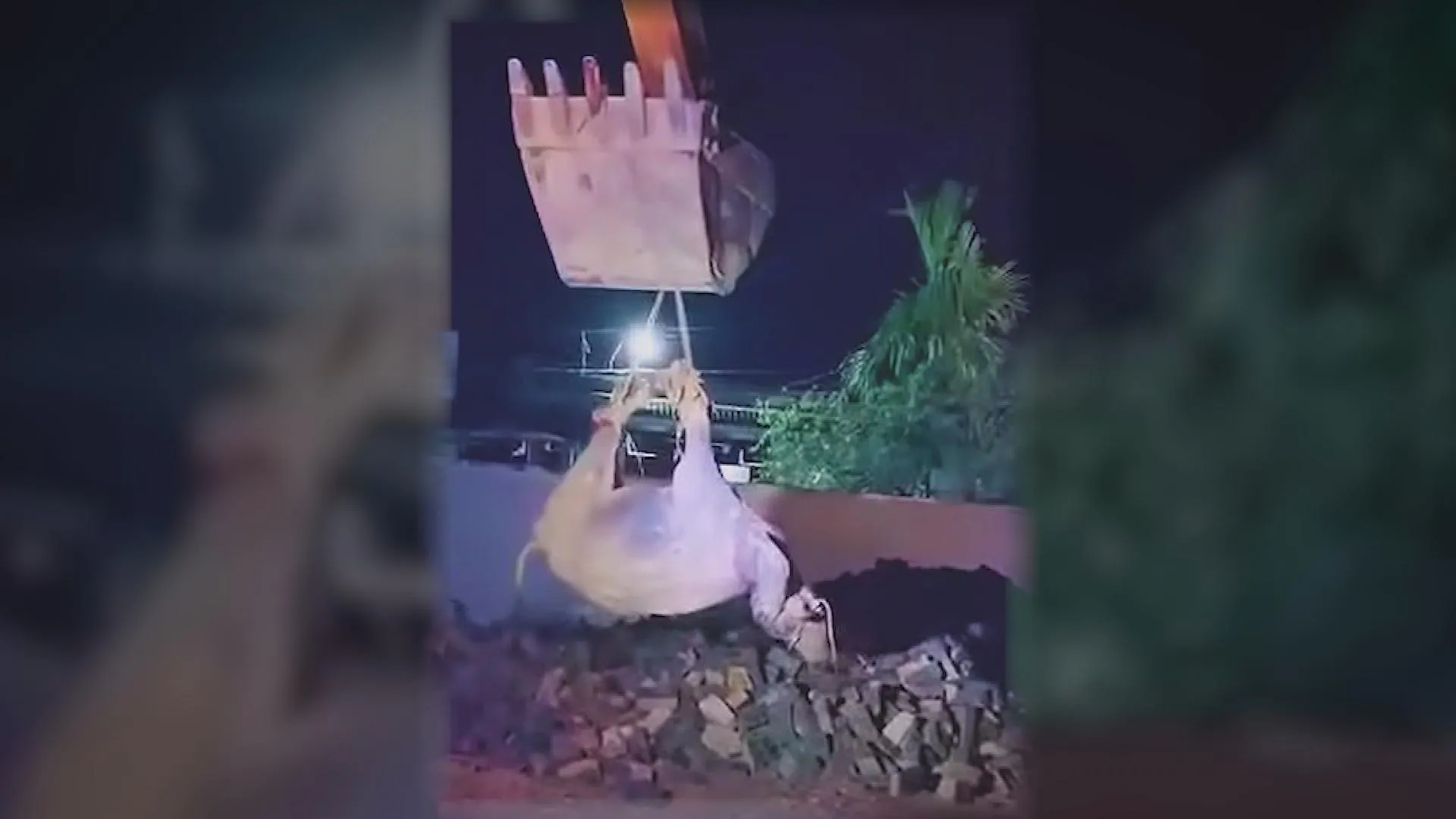TP. Hồ Chí Minh: tóm gọn nghi phạm cướp tiệm vàng chỉ sau 40 phút | 60 Giây Sáng ngày 25/10/2026 - Ảnh 6.