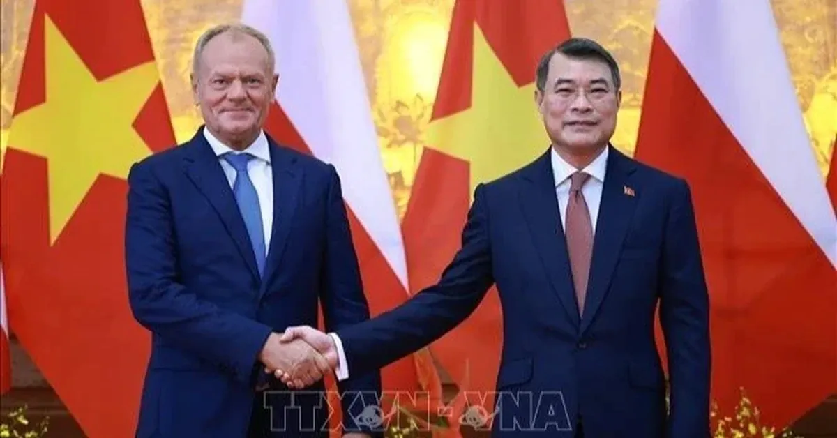 Thủ tướng Lê Minh Hưng hội đàm với Thủ tướng Ba Lan Donald Tusk