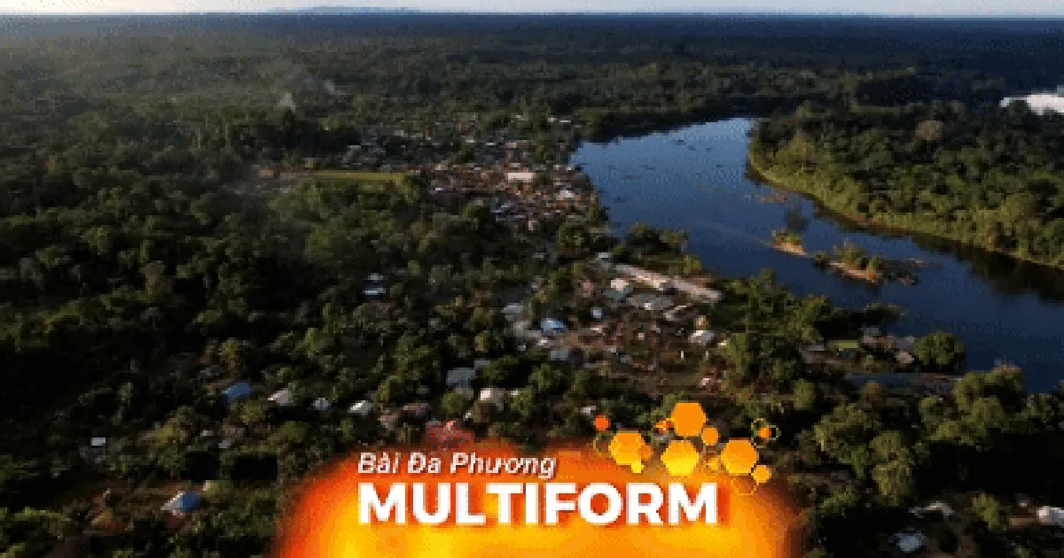 Suriname: Ứng dụng công nghệ để bảo vệ rừng