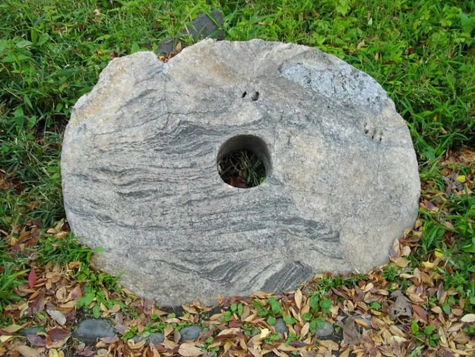 voh-nhung-thu-ky-la-tung-duoc-dung-lam-tien-1