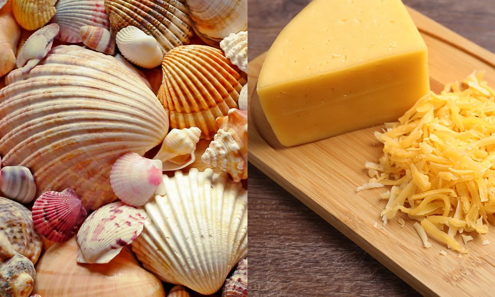 Những thứ kỳ lạ từng được dùng làm tiền trong lịch sử