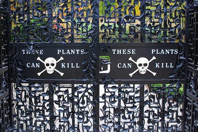 Cổng sắt gắn đầu lâu và xương chéo ở lối vào Poison Garden