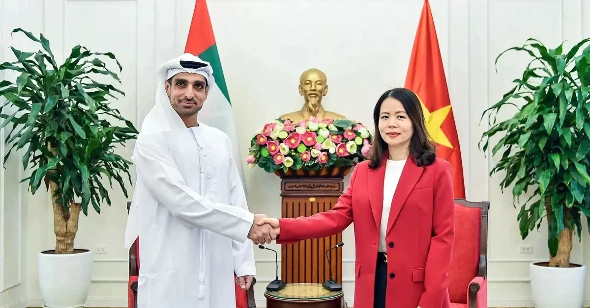 Tham vấn Chính trị lần thứ 3 giữa Bộ Ngoại giao Việt Nam và UAE