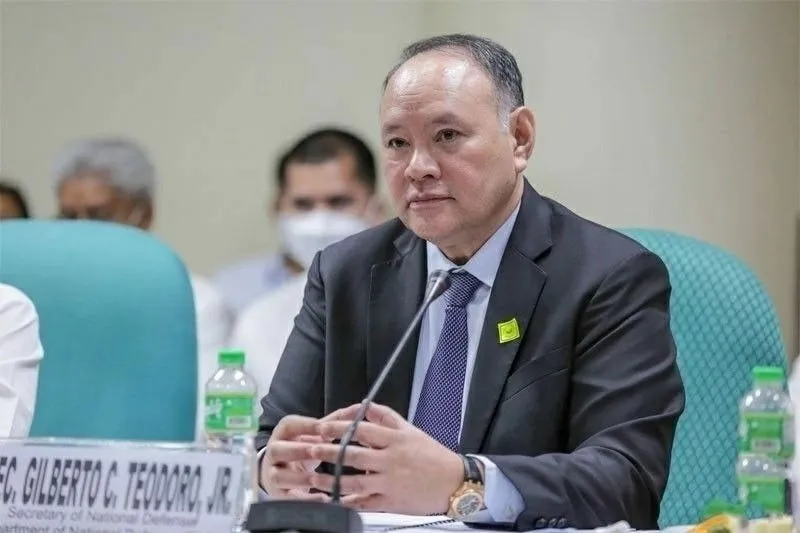Hội nghị bộ trưởng quốc phòng ASEAN ở Philippines - Ảnh 2.