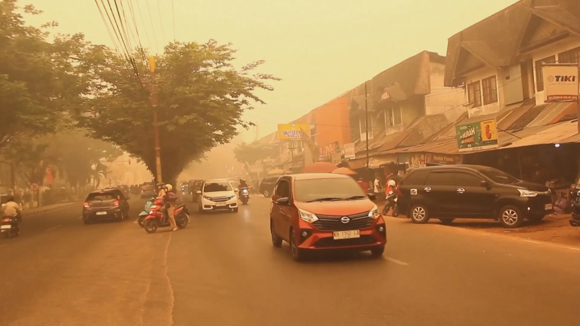 Indonesia: Xe buýt "cứu nguy" giữa thảm họa khói bụi cháy rừng - Ảnh 1.
