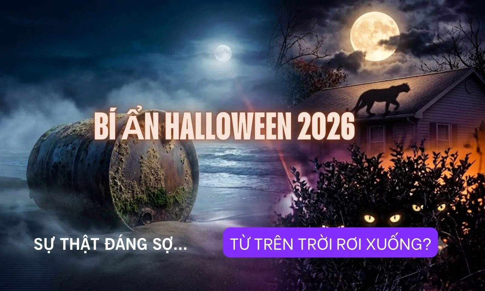 5 sự kiện kỳ bí và rùng rợn nhất năm 2026 để hâm nóng mùa Halloween