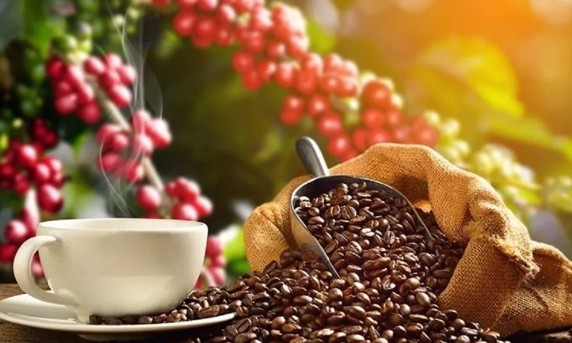 Giá cà phê ngày 29/10: Giá trong nước dao động 88.500 - 89.300 đồng/kg