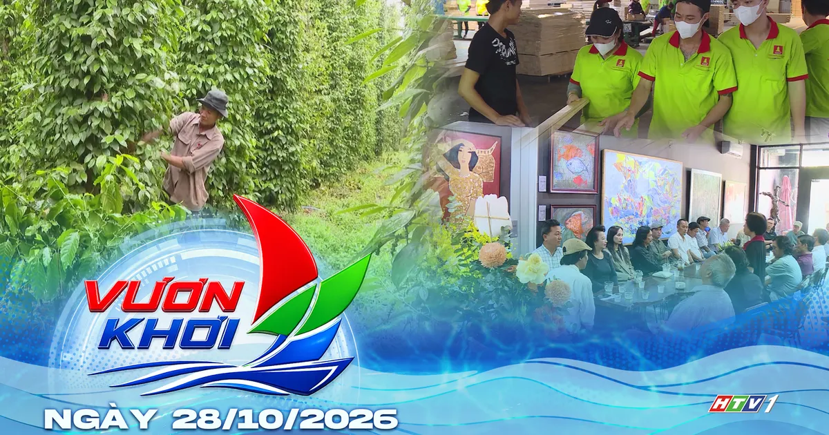 Ngành gỗ đẩy mạnh đa dạng hóa thị trường xuất khẩu | Vươn Khơi - Ngày 28/10/2026