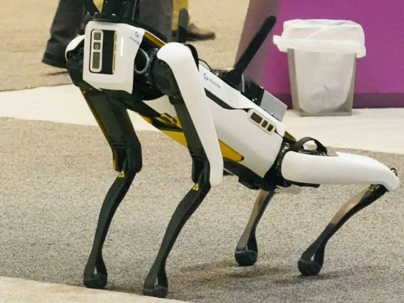 tuyen-nguoi-dat-cho-robot-di-dao-voi-muc-luong-20-usdgio-1