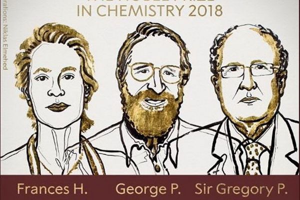 3 nhà khoa học Mỹ, Anh nhận giải Nobel Hóa học 2018