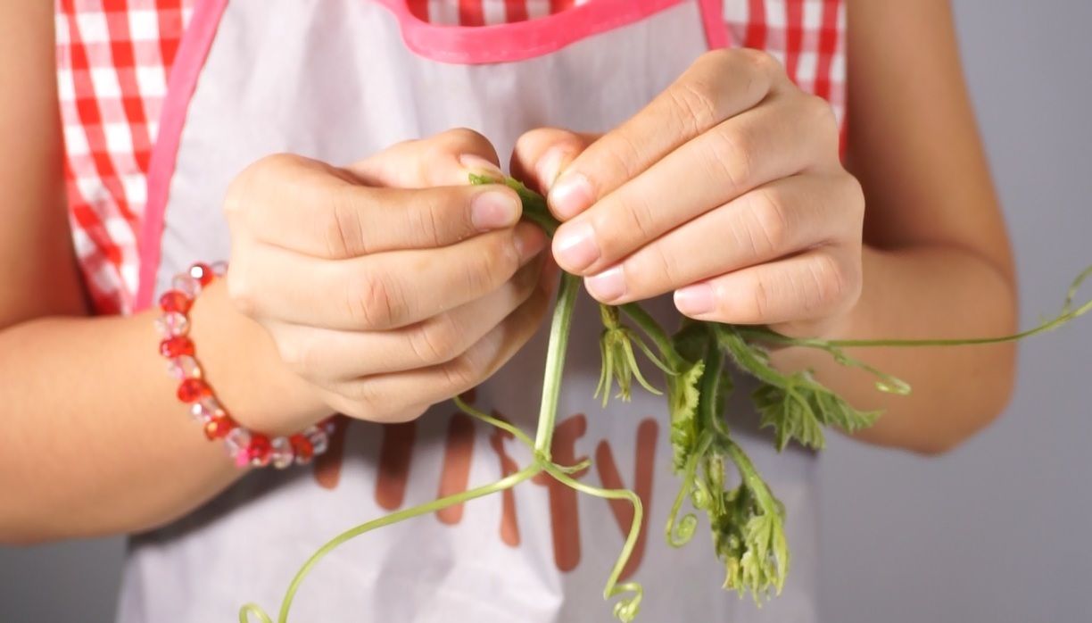 Cùng con vào bếp (Số 8): Cách nhặt các loại rau nhanh nhất