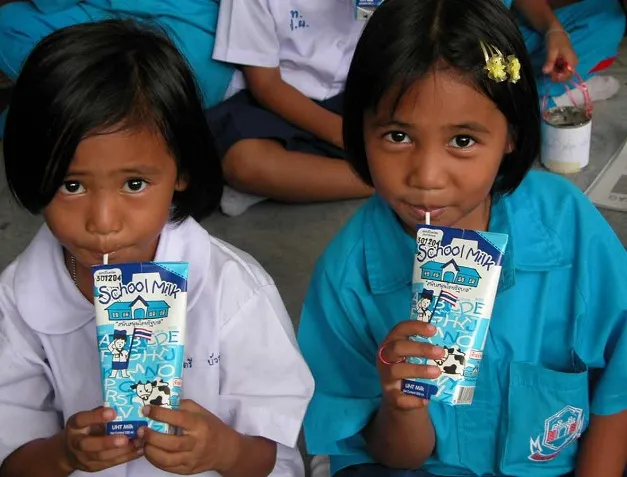 Bộ Y tế hướng dẫn về loại sữa tham gia Chương trình Sữa học đường