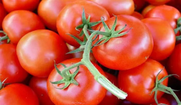 Giá cả thị trường hôm nay 15/10/2018: Cà chua 30 ngàn đồng một kg