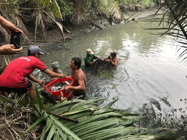 Người dân xã Đa Phước thu hoạch cá