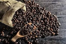 Giá cà phê hôm nay 03/11/2018: Tiếp tục tăng nhẹ 300 đồng/kg