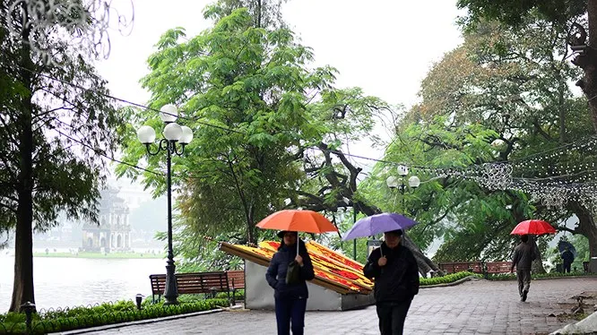 Dự báo thời tiết hôm nay 08/11: Bắc Bộ lạnh, có mưa rào và dông rải rác