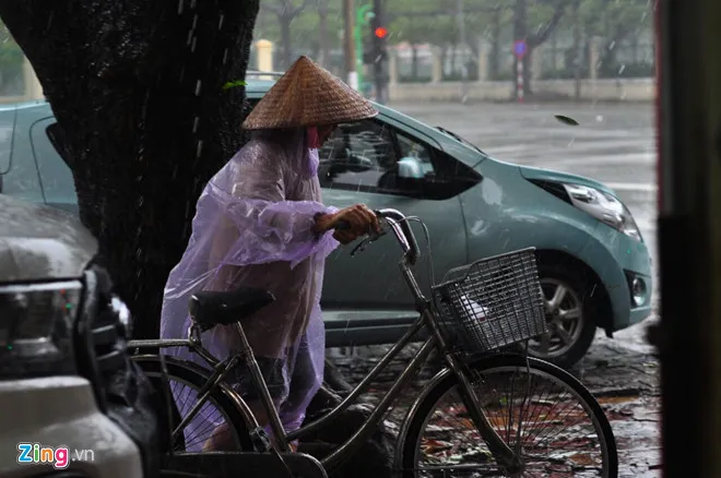 Dự báo thời tiết 10 ngày tới (26/11 - 4/12): Miền Bắc dần tăng nhiệt, Trung và Nam Bộ còn mưa