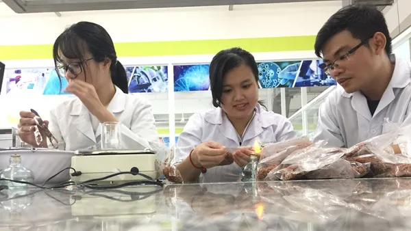 Từ phế phẩm đầu tôm… đến hợp chất chống lão hóa