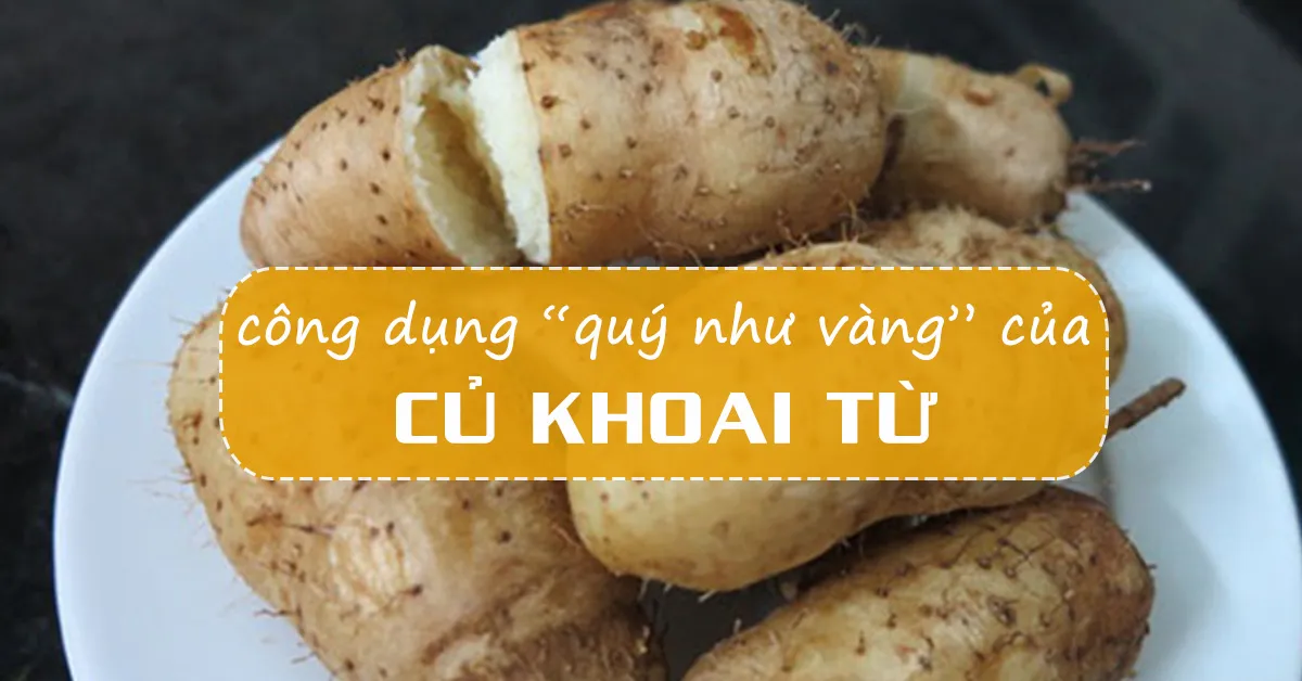 Đã ai biết đến tác dụng của củ từ chưa?