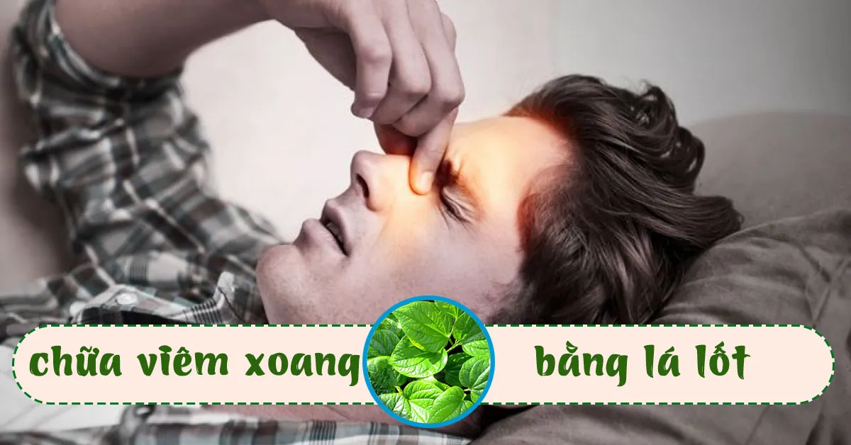 Trị viêm xoang bằng lá lốt cực hay và đơn giản