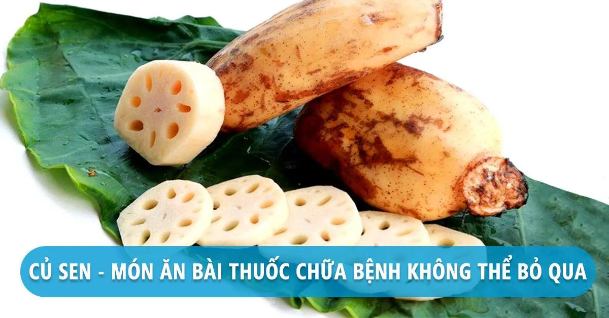 10 tác dụng của củ sen cho sức khỏe