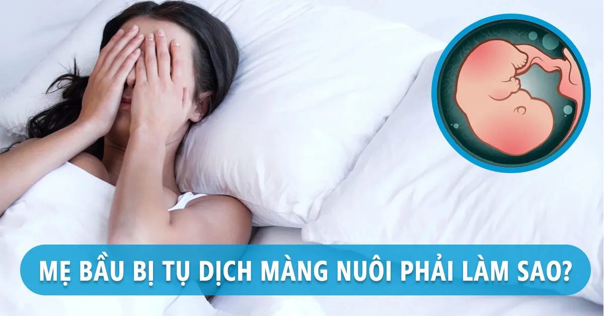 Tụ dịch màng nuôi là gì, nguyên nhân và cách điều trị hiệu quả