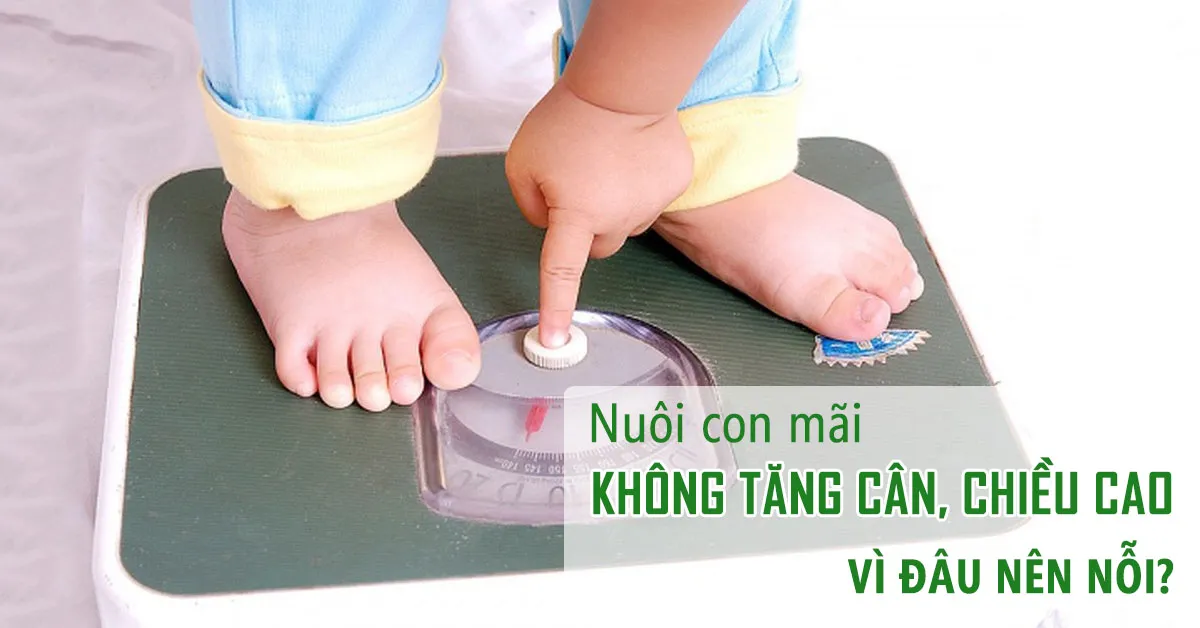 Giải pháp dành cho trẻ không tăng cân, chiều cao