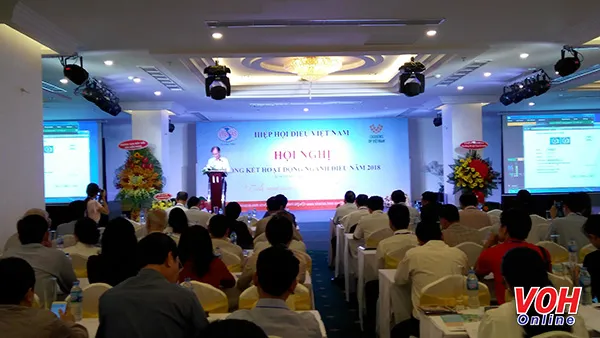Năm 2019, thị trường điều nhân sẽ khó, vậy cần những thay đổi gì để tránh thiệt hại?