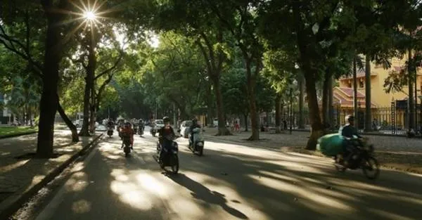 Dự báo thời tiết hôm nay 12/1: Miền Bắc ấm dần, Trung bộ và Tây nguyên có mưa rào