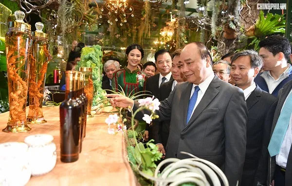 Thủ tướng thăm Bảo tàng Lịch sử Quốc gia và dự triển lãm Sâm Ngọc Linh