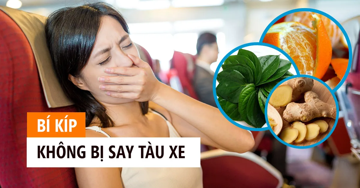 9 cách chống say tàu xe đơn giản mà hiệu quả