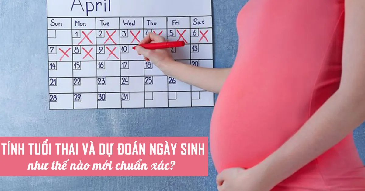 Hướng dẫn mẹ 4 cách tính tuổi thai và dự đoán ngày sinh chính xác