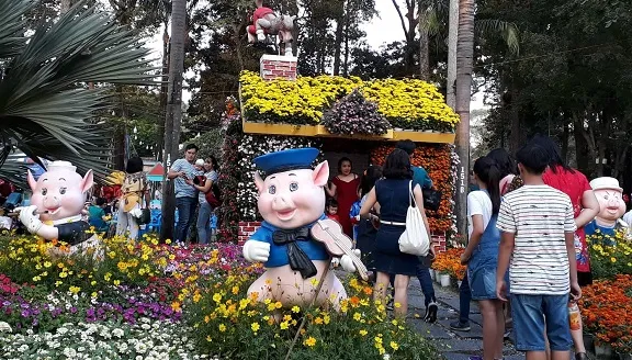 Con heo (con lợn) trong văn hóa người Việt