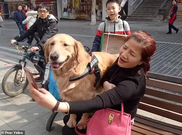 Ngôi sao selfie mới nổi… 4 chân