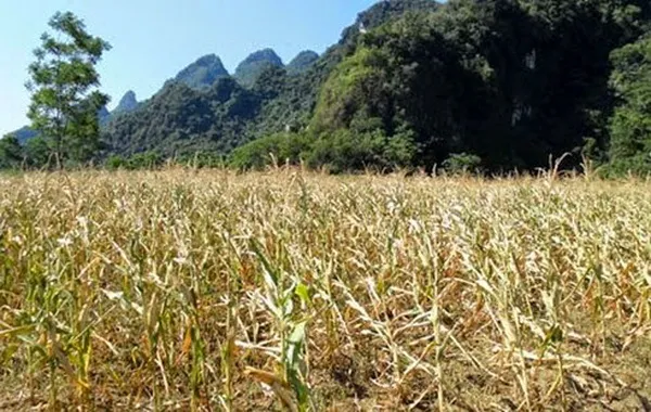 Dự báo thời tiết hôm nay 20/2: Miền Bắc mưa rào - Nam bộ nắng gắt