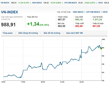Thị trường chứng khoán 22/2/2019: Ngân hàng giúp VN-Index giữ mốc 990 điểm