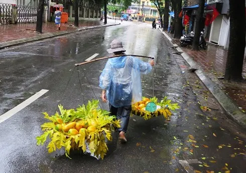 Dự báo thời tiết hôm nay 25/2: Hà Nội mưa lạnh, TPHCM nắng cháy