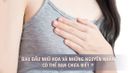 Đau nhũ hoa là hiện tượng gì và có phải mang thai hay không?
