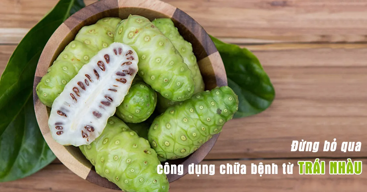 Những công dụng của trái nhàu trong điều trị bệnh