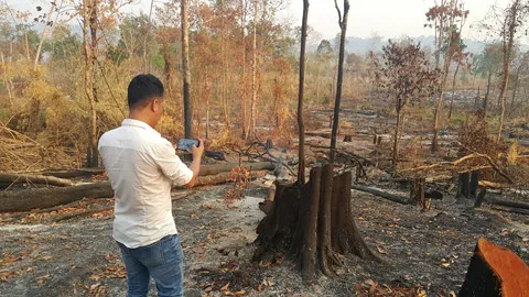 Biên phòng Gia Lai chỉ đạo xử lý nghiêm vụ phá rừng vành đai biên giới