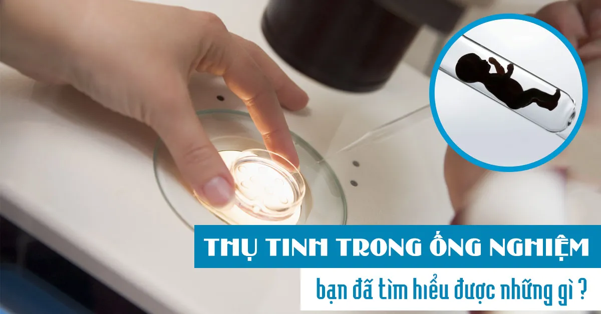 Những điều bạn cần biết khi muốn thụ tinh trong ống nghiệm