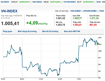 Thị trường chứng khoán 13/3/2019: VN-Index dừng ở mốc 1.005 điểm