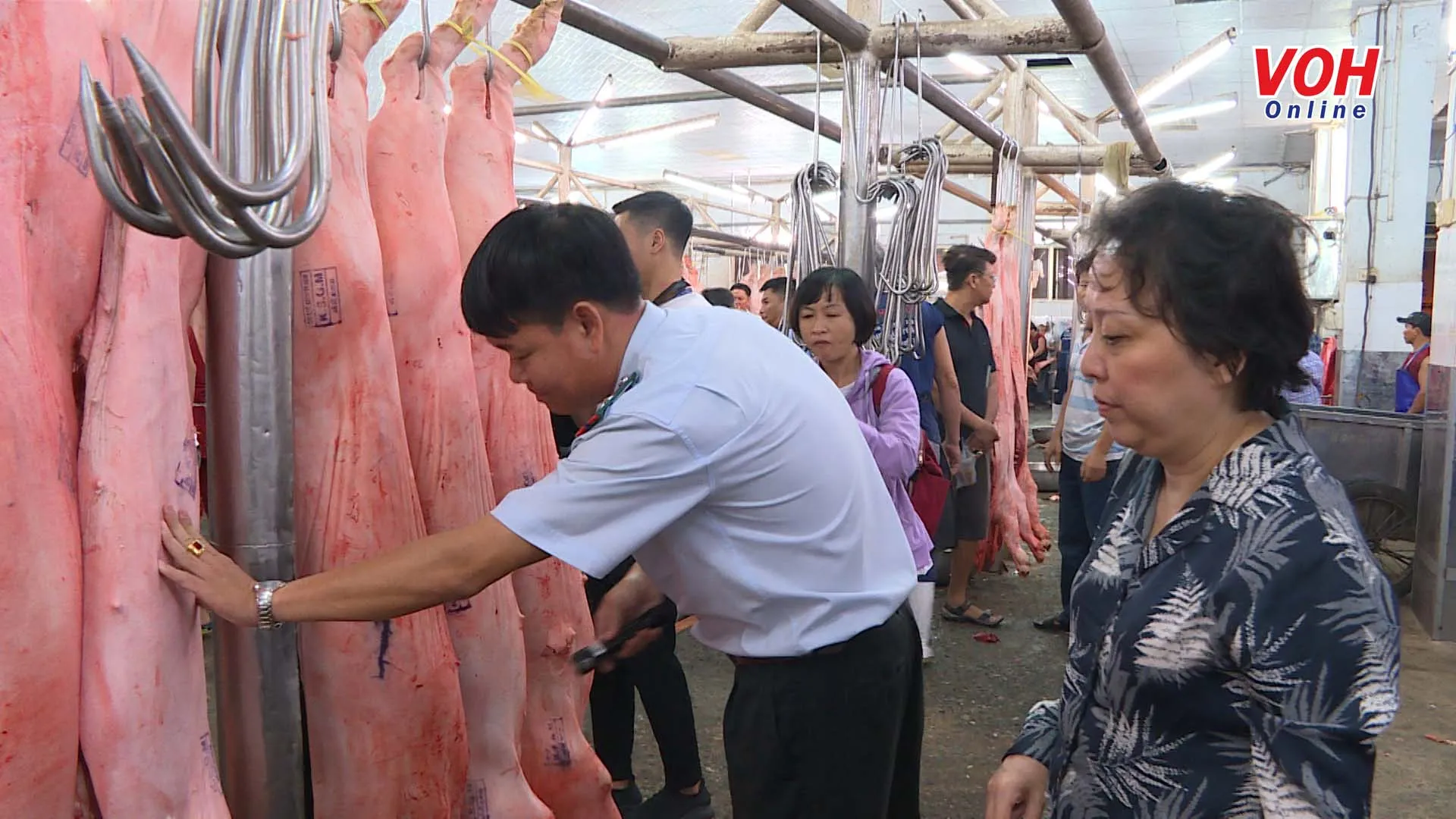 TPHCM quyết tâm ngăn chặn dịch tả heo Châu Phi vào thành phố