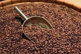 Giá cà phê hôm nay 21/3/2019: Quay đầu giảm 300 – 600 đồng/kg