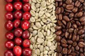 Giá cà phê hôm nay 29/3/2019: Giảm 200- 400 đồng/kg